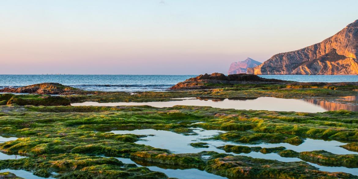 pexels-cosmin-somesan-11315568