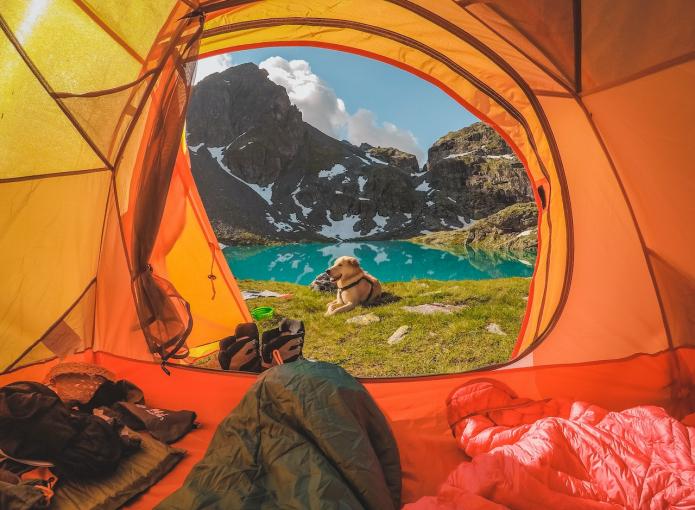 pexels-stephanie-casanova-16168098