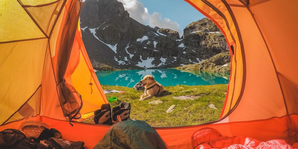 pexels-stephanie-casanova-16168098