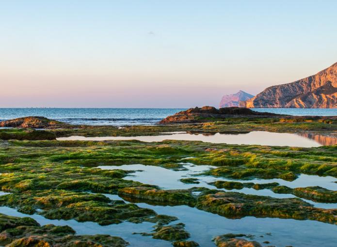 pexels-cosmin-somesan-11315568